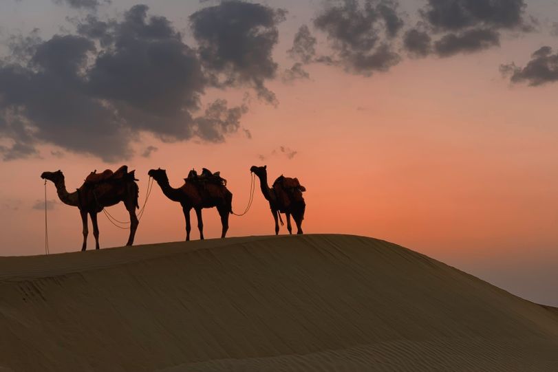 Rajasthan desert tour (11)